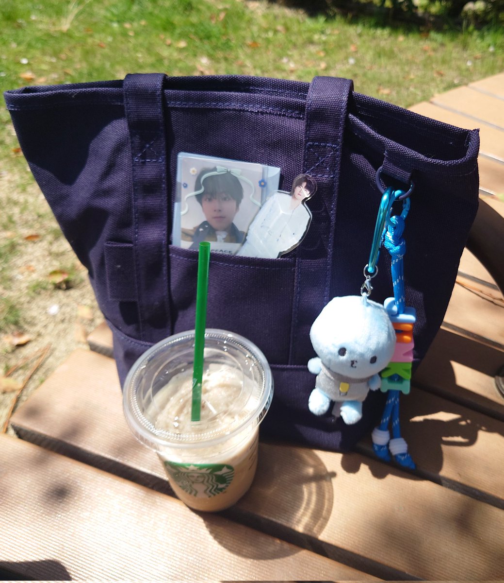 アヤコ(・(ｪ)・)🩵🌱🎤 tweet media