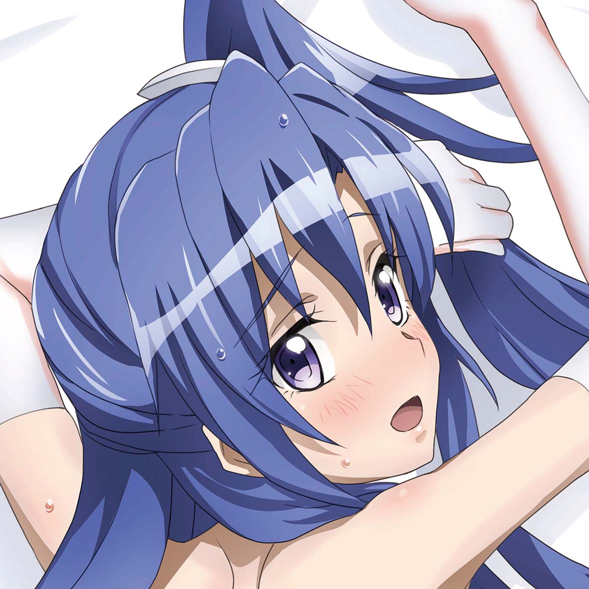 【4月締切/抱き枕カバー/新作告知①】
「白競泳水着ニーソ 翼」
イラストは藤川大智さん(@FujikawaDaichi)です。

4月27日までの受付となります。
全体プレビュー画像や詳細、ご注文はこちらから⇒https://t.co/L52ykePELh 