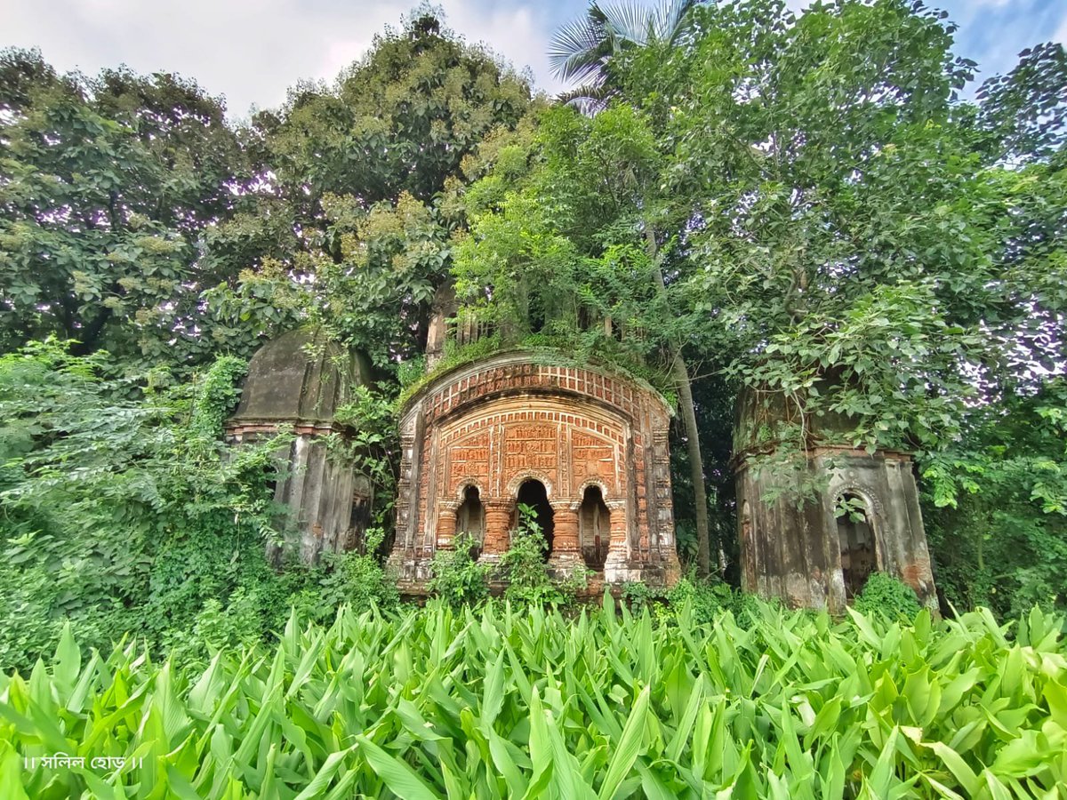 Bengal's untold tales tweet media