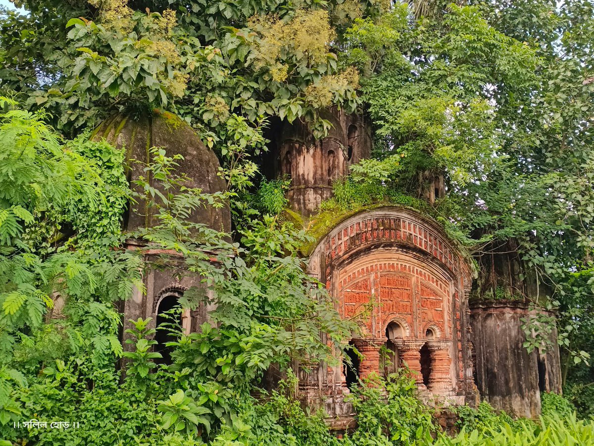 Bengal's untold tales tweet media