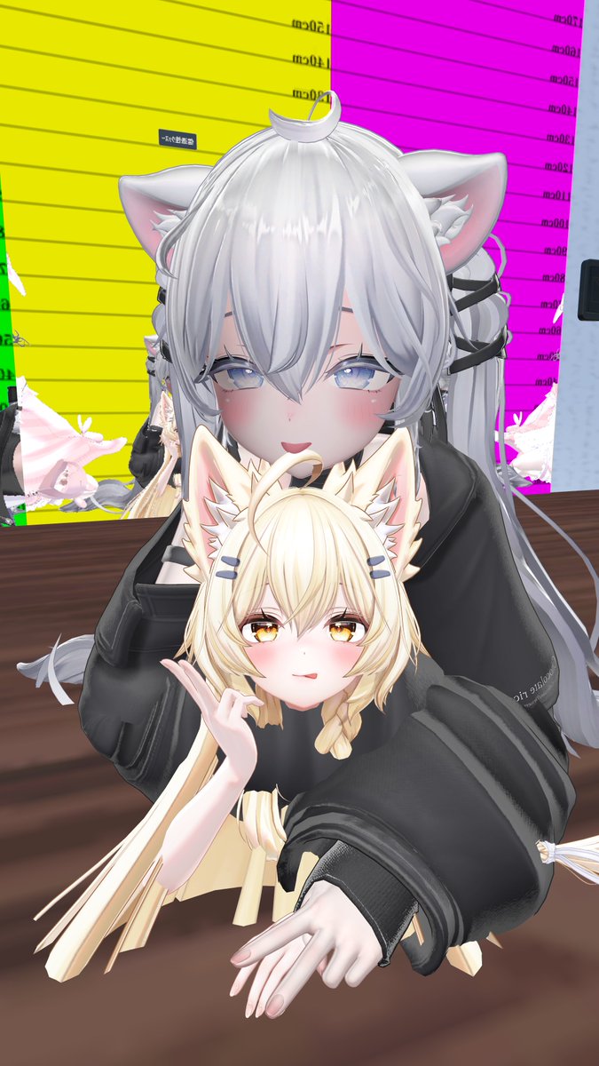 🤍 ちょび。🩵 tweet media