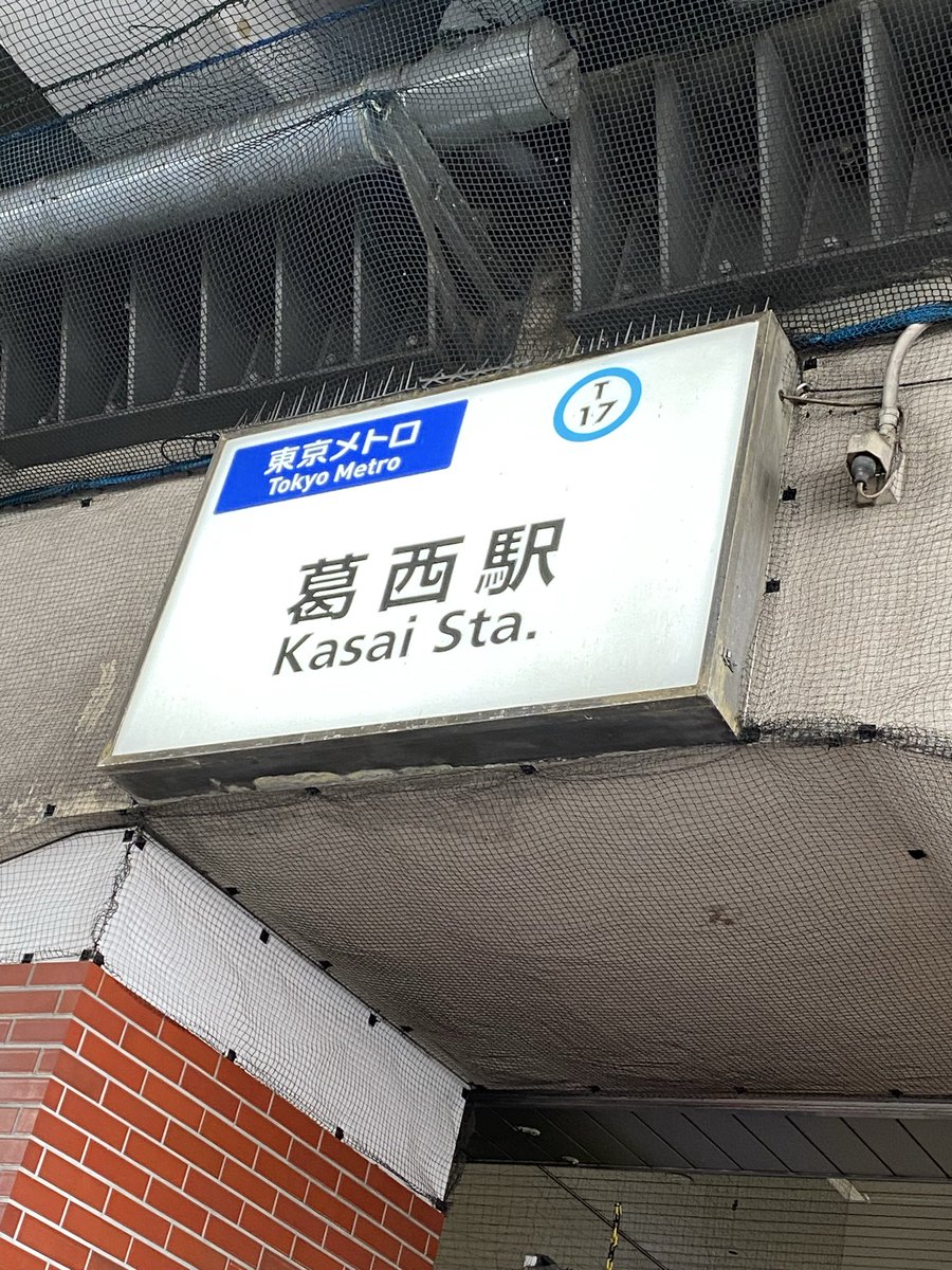 けーえす tweet media