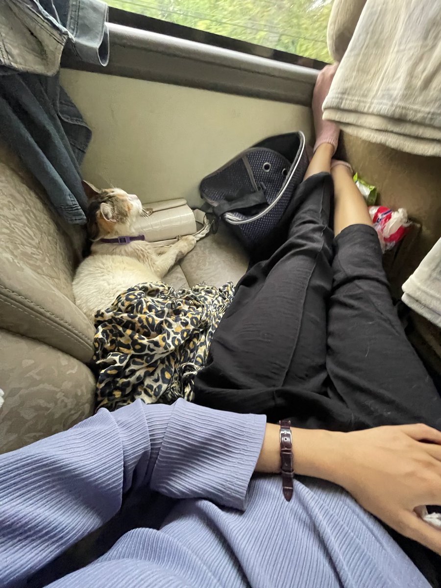 cika,ciki,ciko,ocil 😻 tweet media