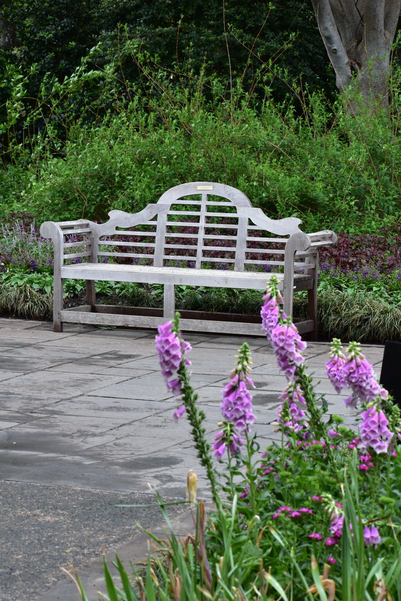 Helen Nde tweet media