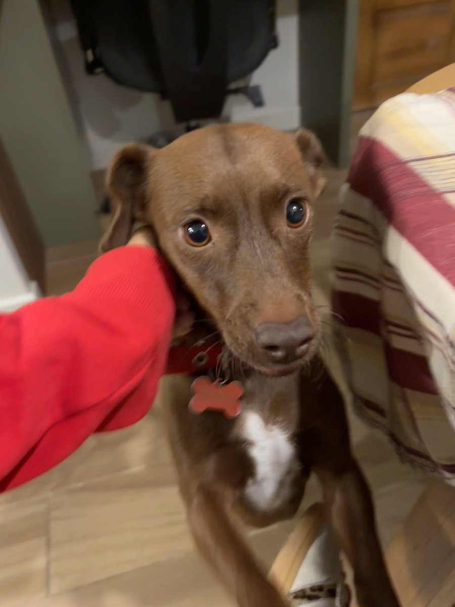 Sammy 🎀 tweet media