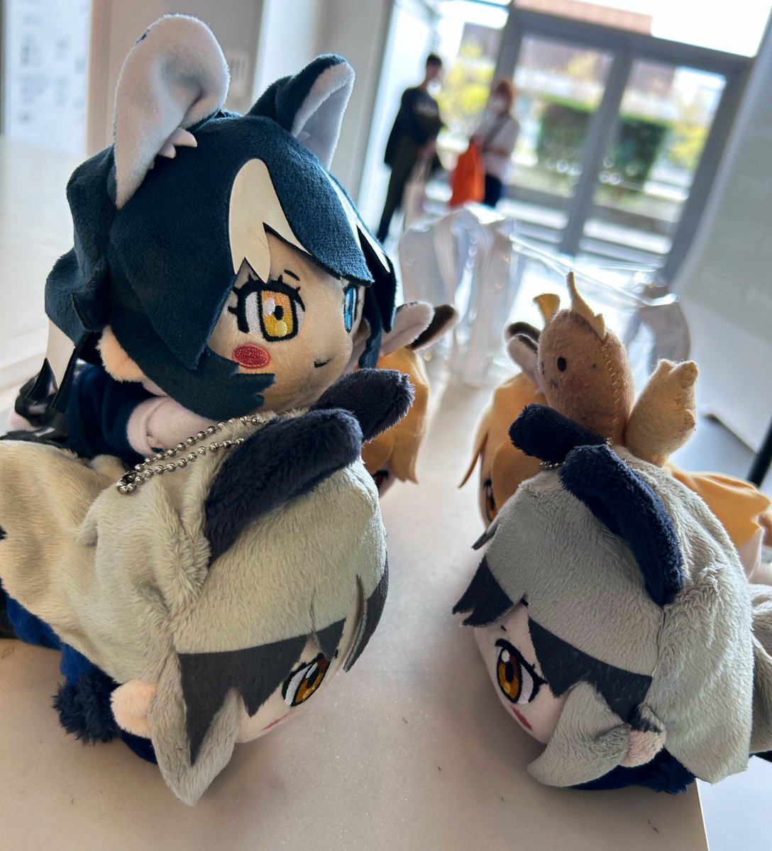 シマ男↑↑ tweet media