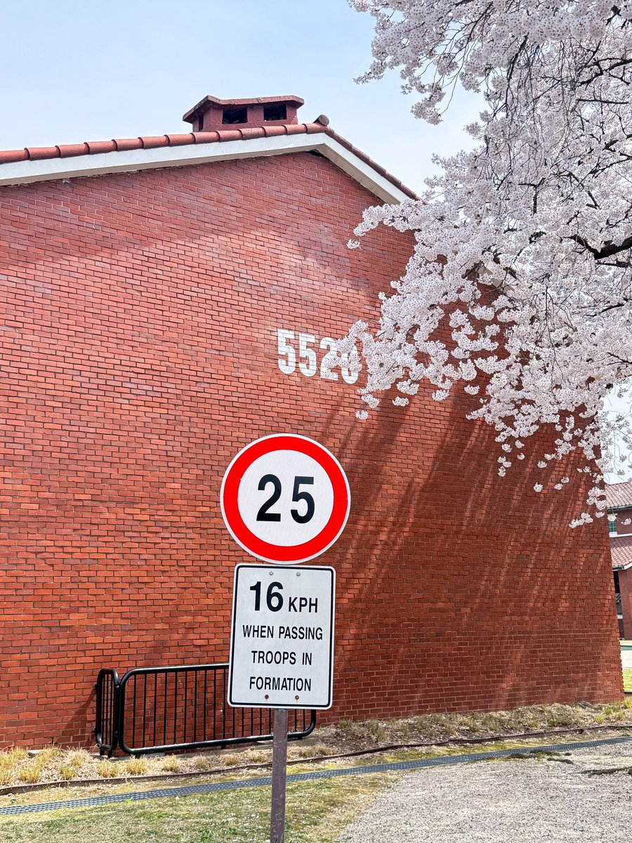 เม้าท์มอยเกาหลี tweet media