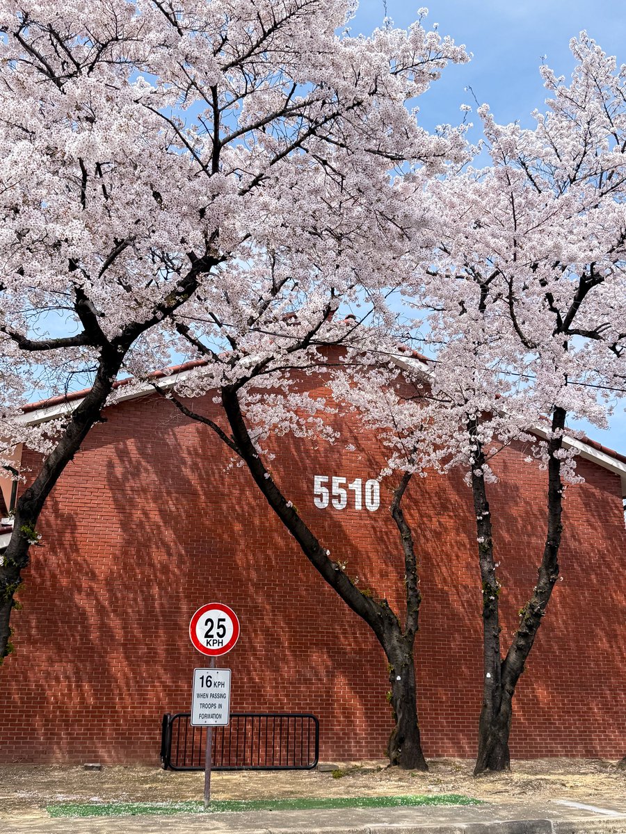 เม้าท์มอยเกาหลี tweet media