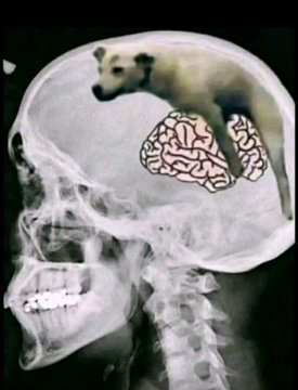 Veniamin Nepomniashchykh tweet media