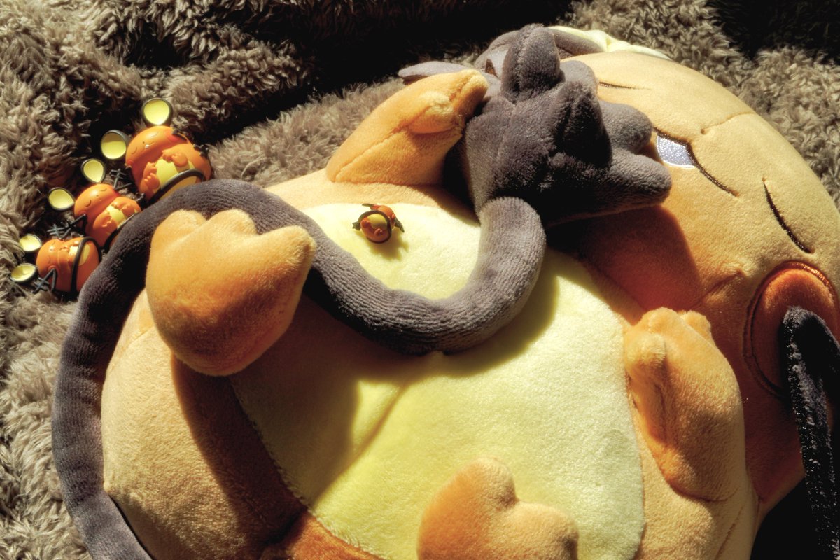 XSのデデンネ tweet media