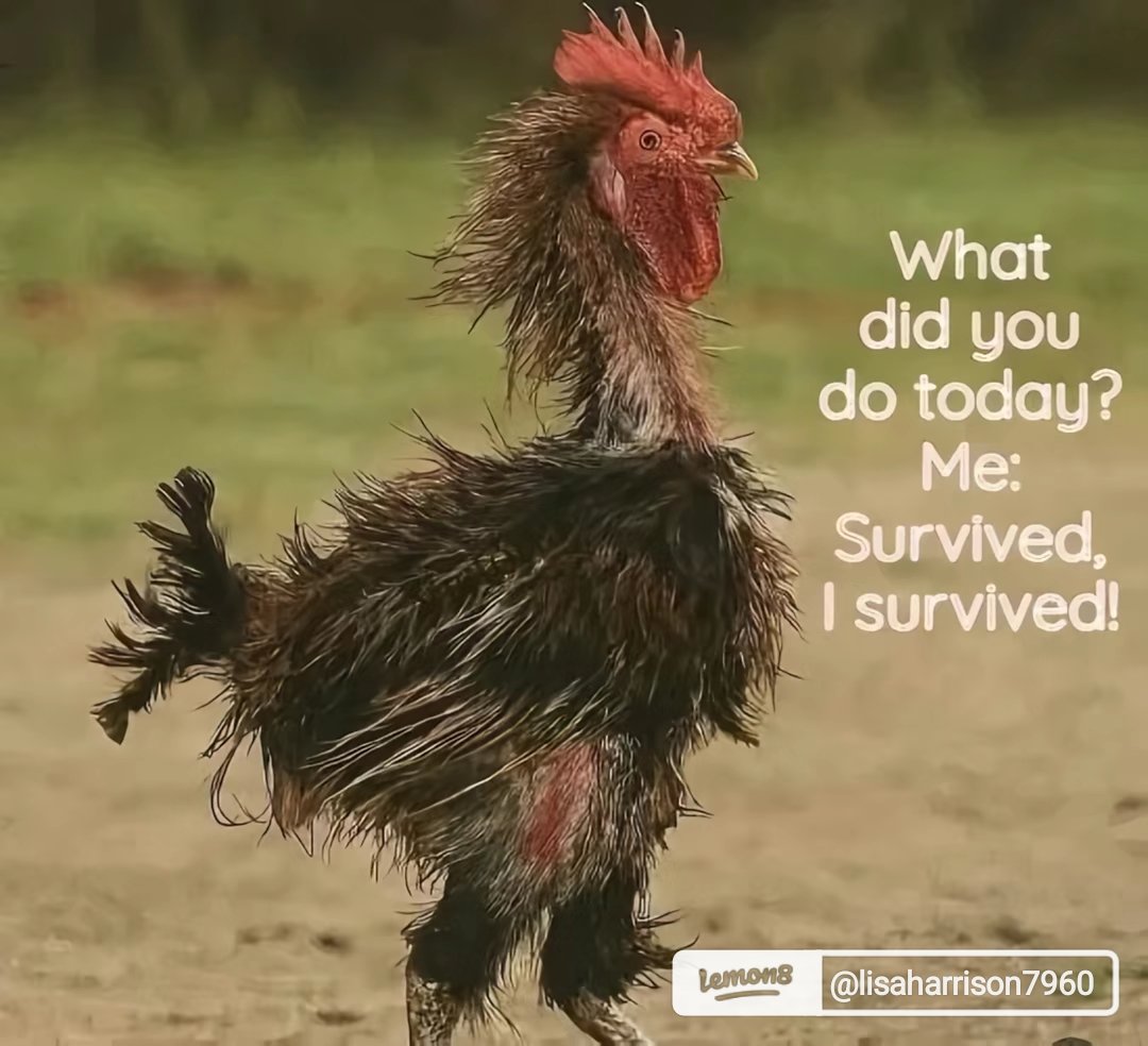 🌸🐘Listen Linda🐘🌸 tweet media