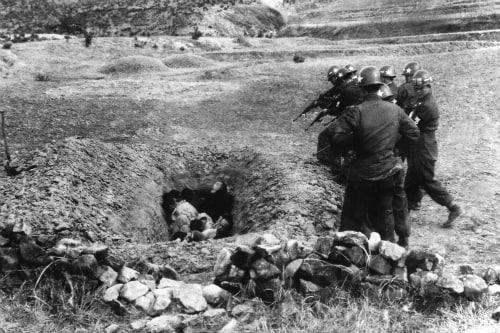 Сахалинец tweet media