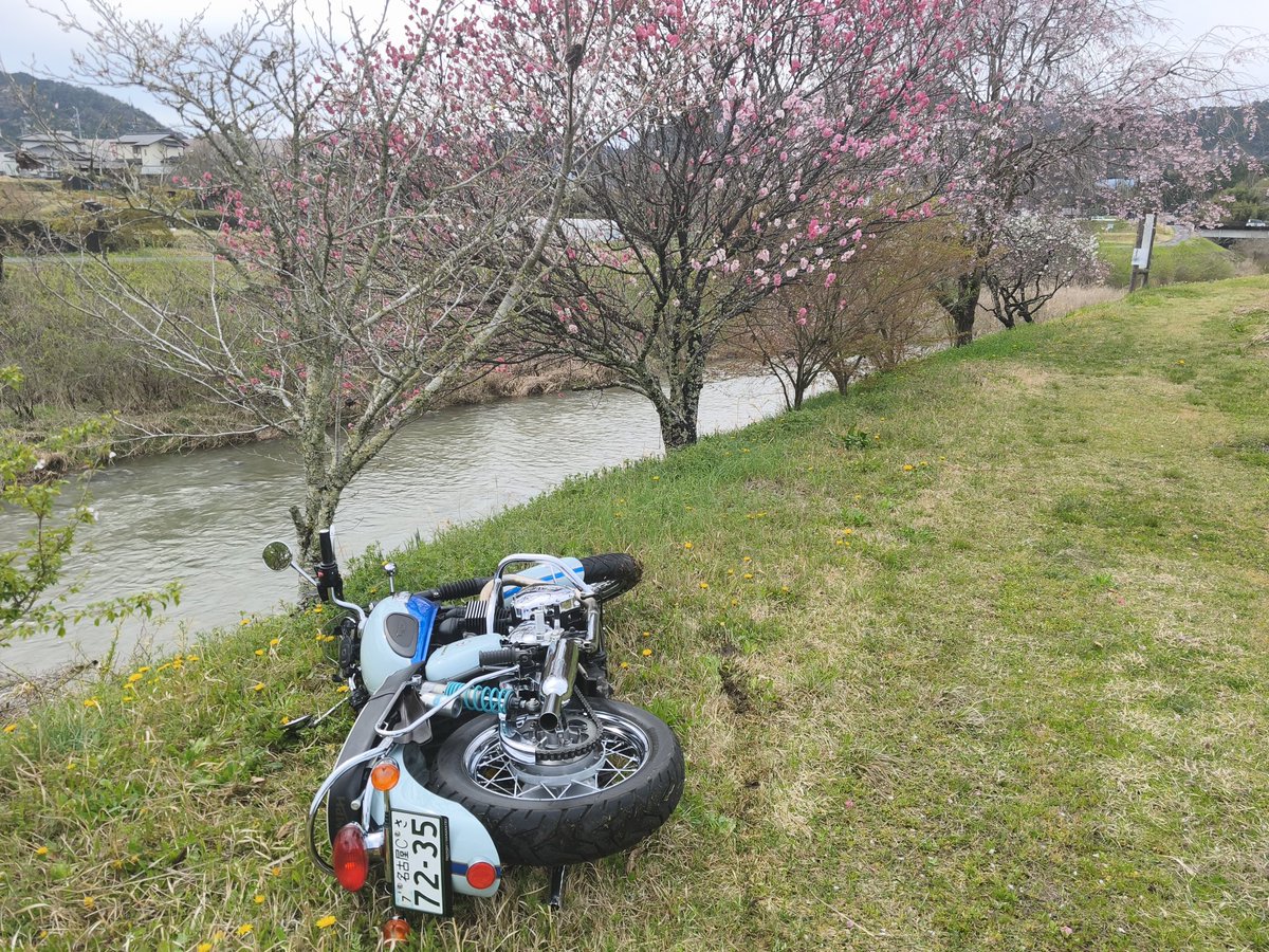 ガトー　終活ライダー tweet media