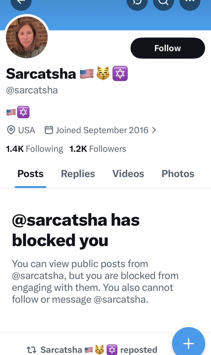 Austrian Painter Society tweet media