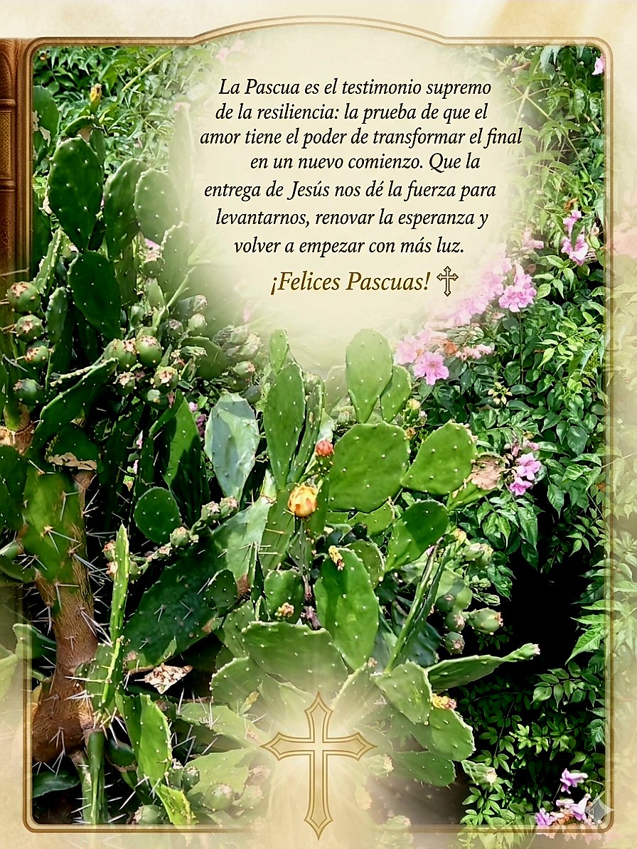 GOBERNAR ES POBLAR tweet media