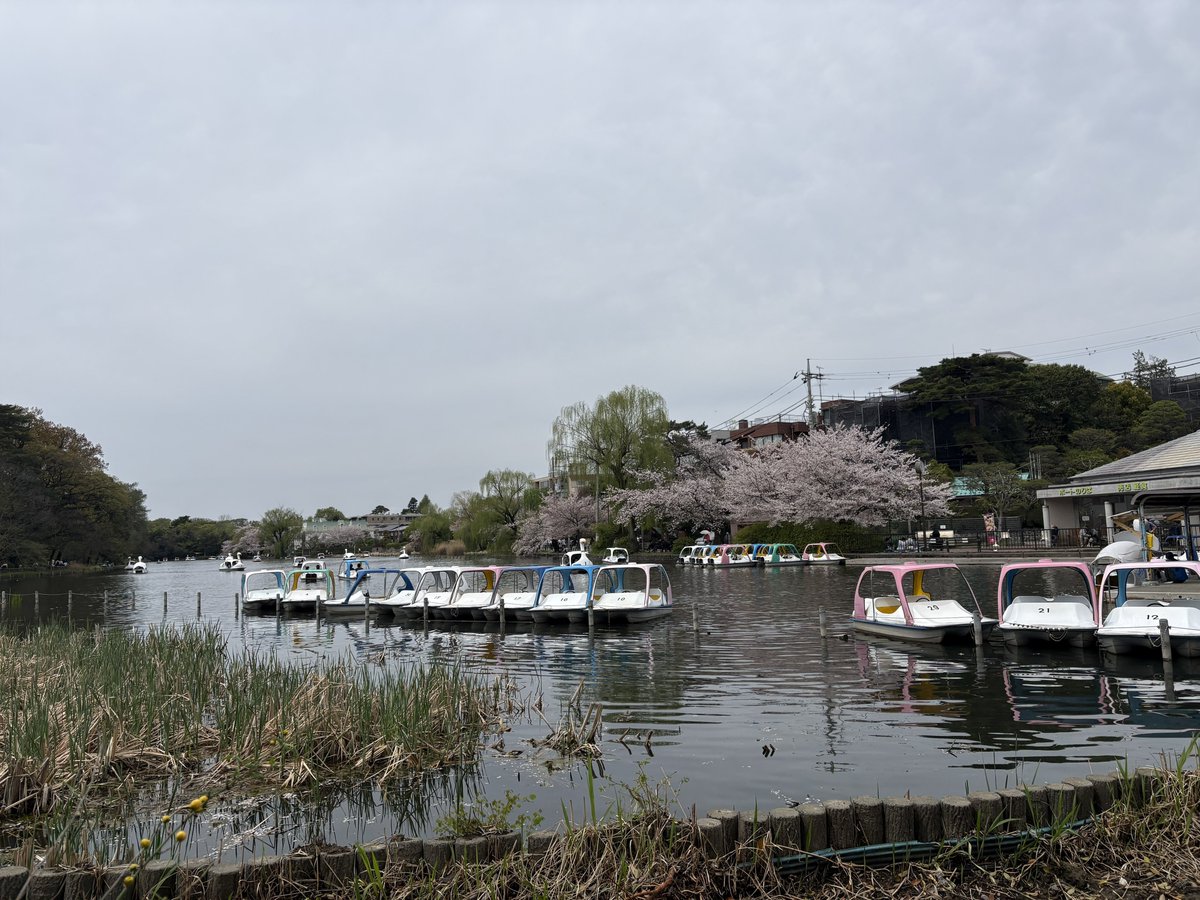 アリュール tweet media