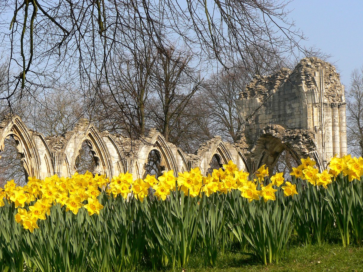 HistoryandHeritageYorkshire tweet media