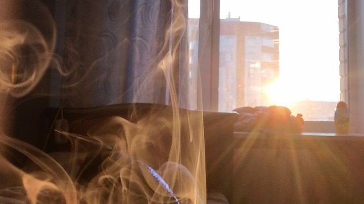 (कुश)ka tweet media