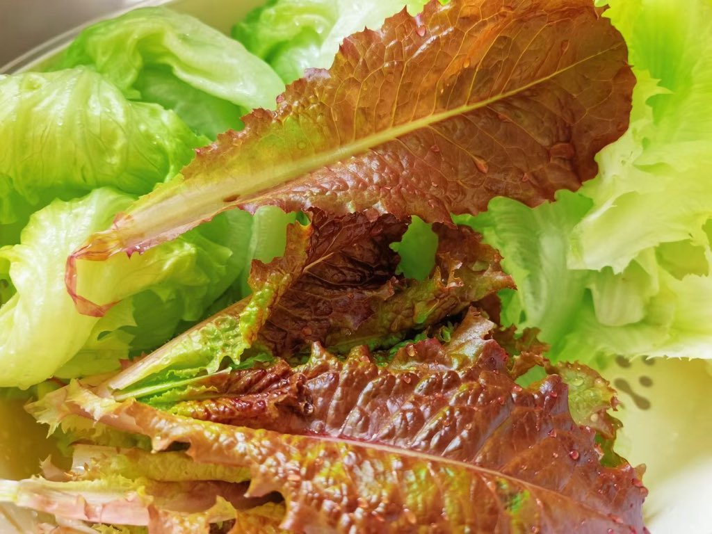 Gloriawang（互fo💯💯） tweet media