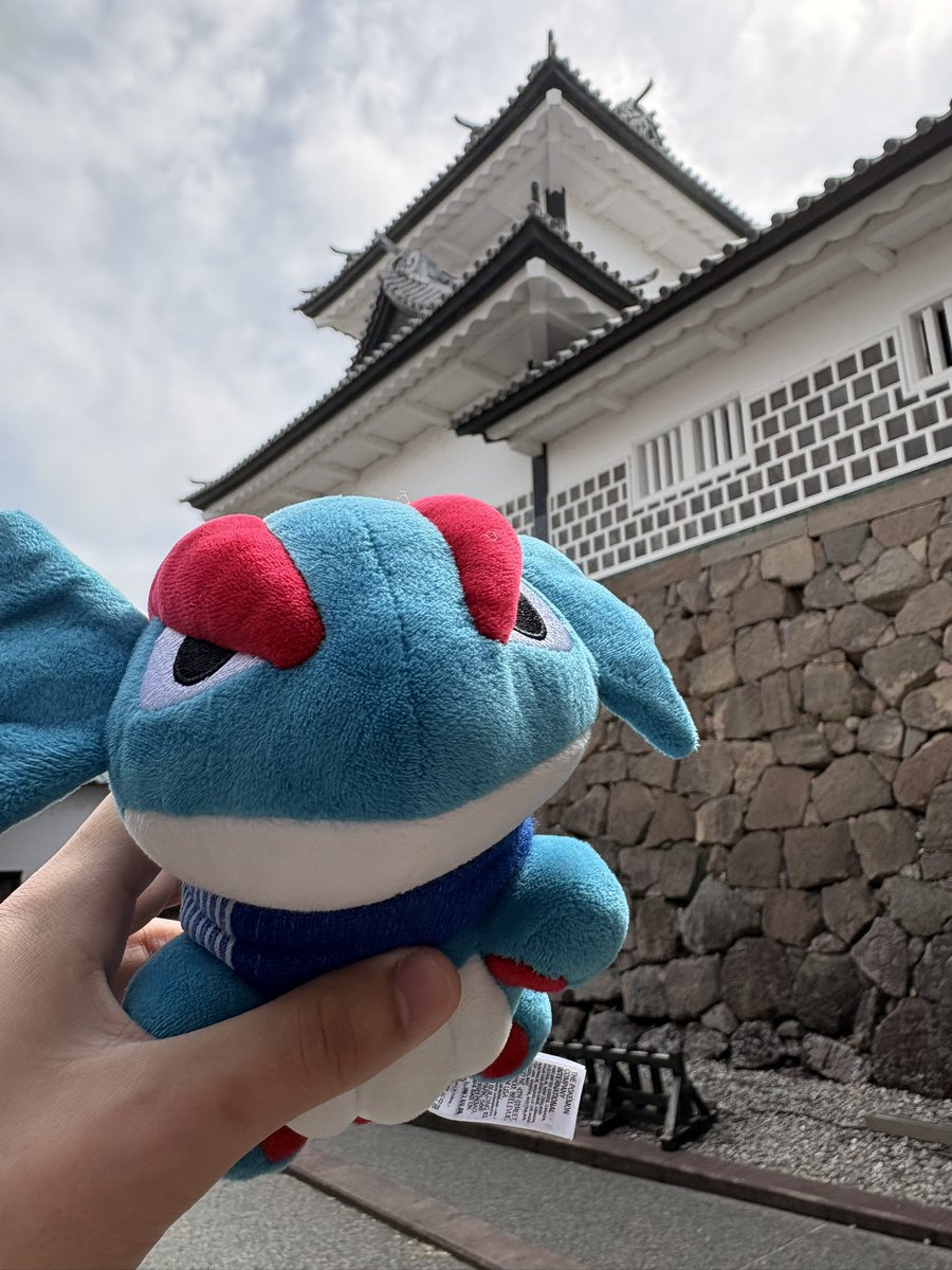 ぼーまんだをたおしたい tweet media