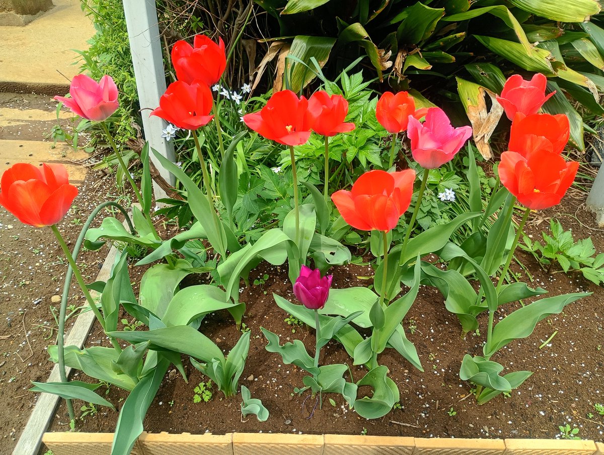 しまど/simadjp tweet media