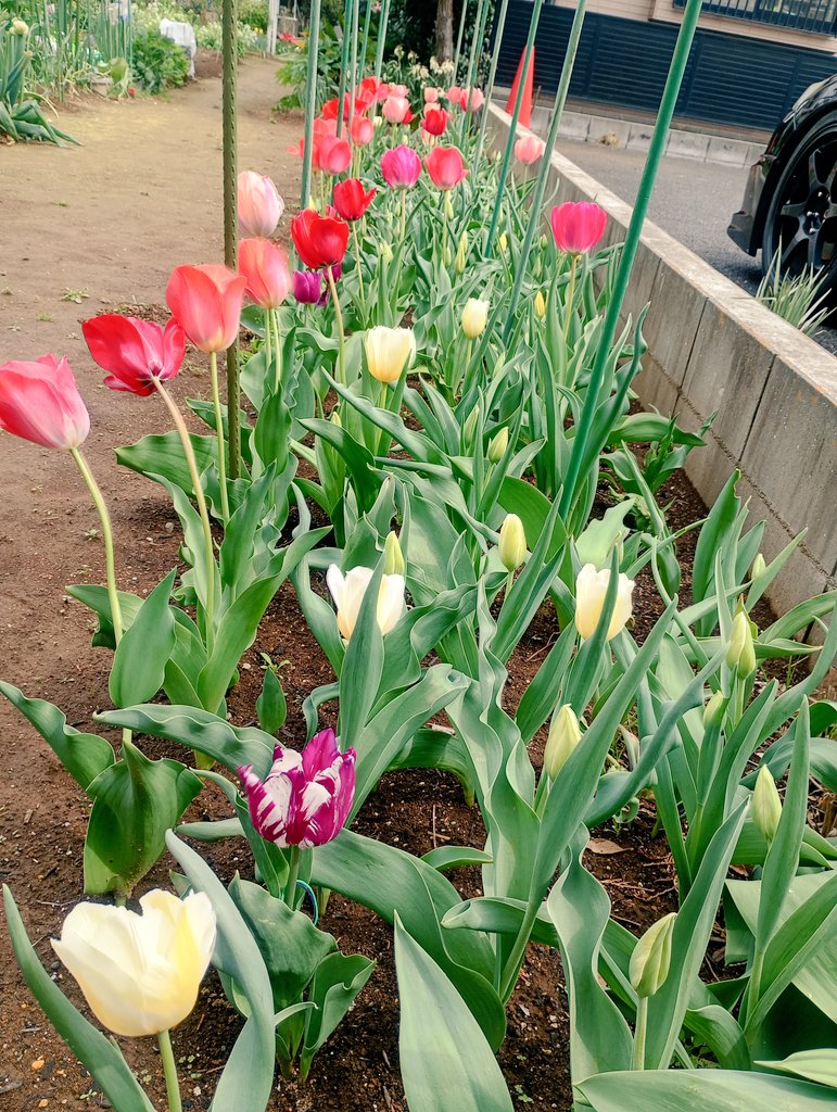 しまど/simadjp tweet media