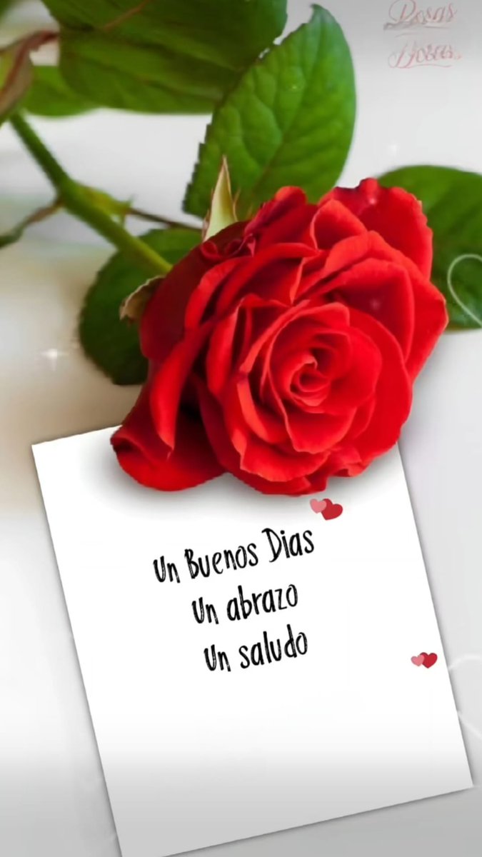 esbgolfo's tweet photo. Feliz domingo a tod@s 😘🌹🫂❤️ https://t.co/R11eHt0wH7