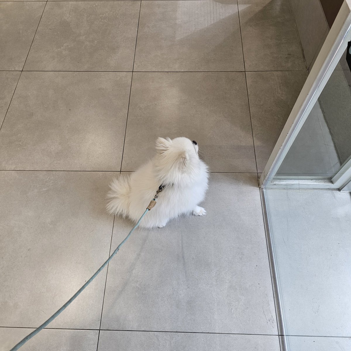 두르강튀아 tweet media