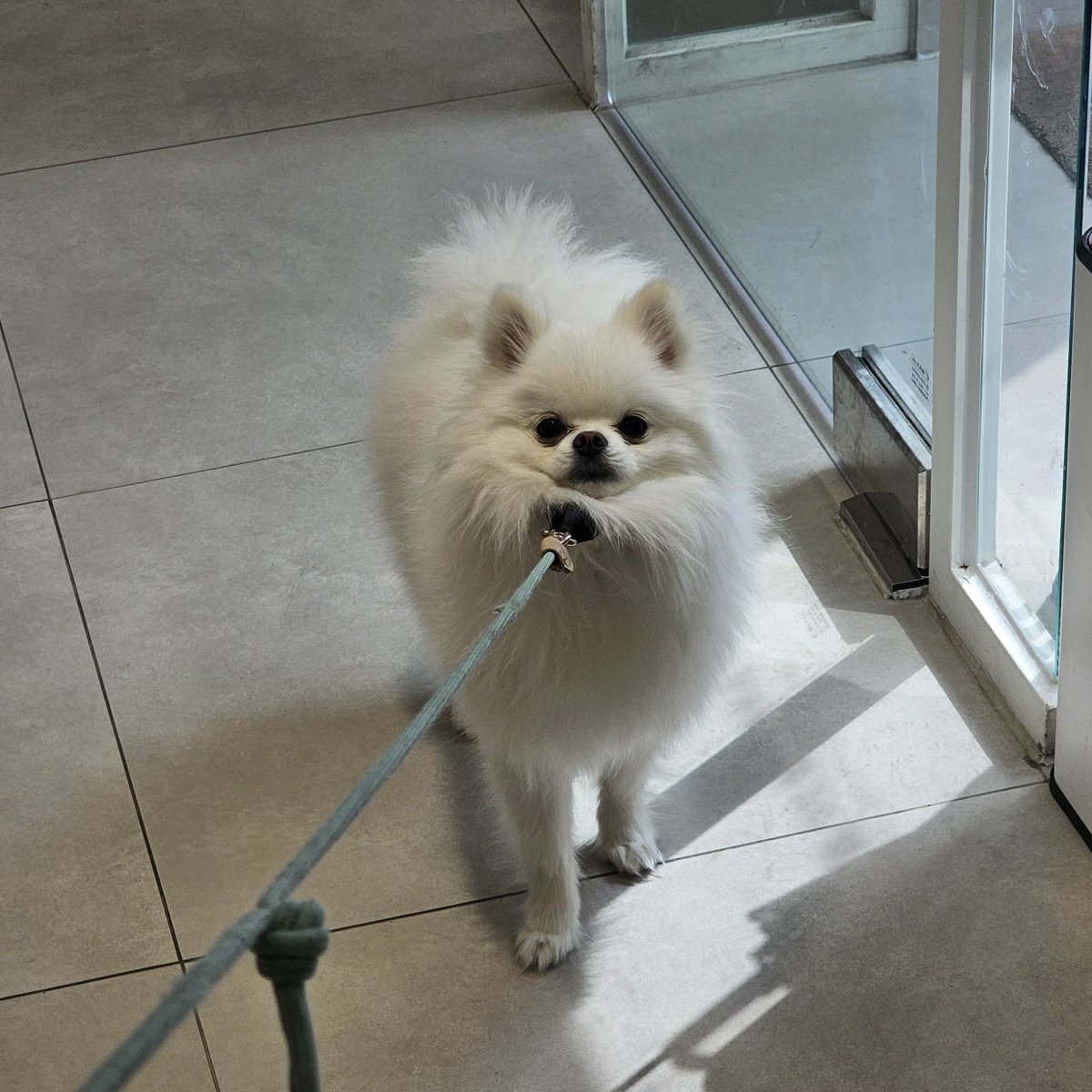 두르강튀아 tweet media