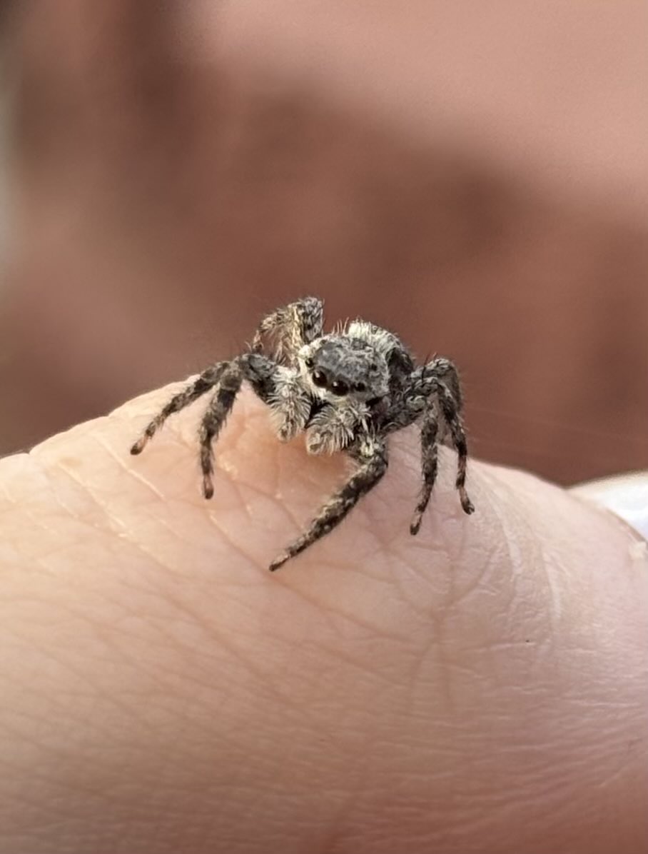 tayla ꩜ tweet media