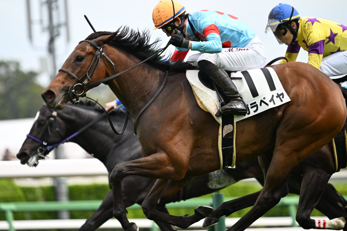 もんちゃん＠写真垢 tweet media