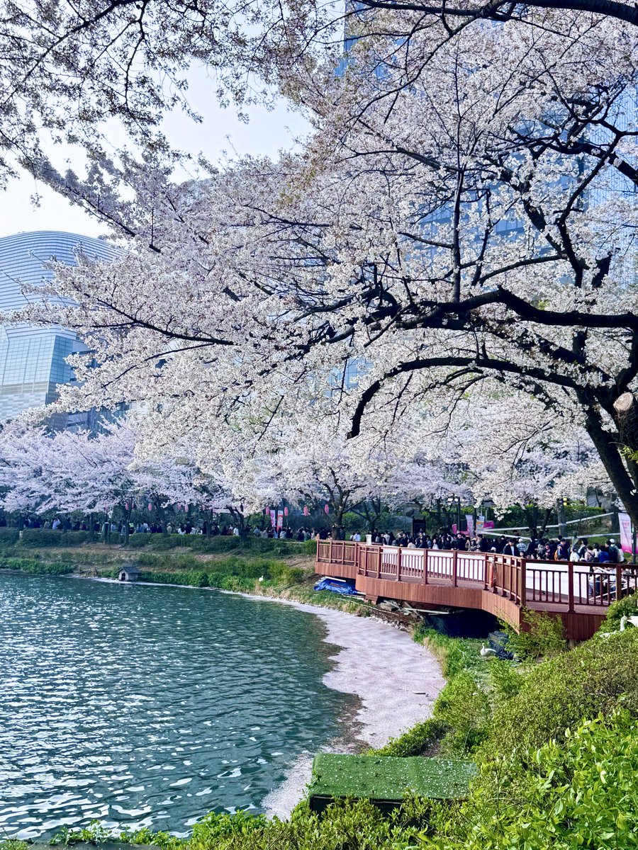 human-lock tweet media