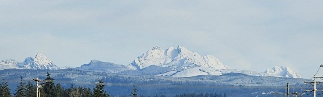 🌸🐘Listen Linda🐘🌸 tweet media