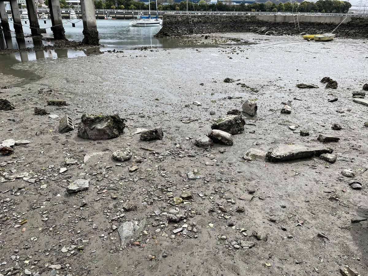 RE_IKS（レイクス） tweet media