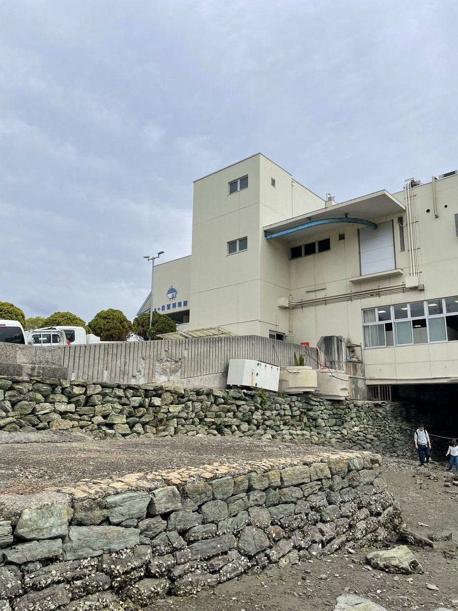 RE_IKS（レイクス） tweet media