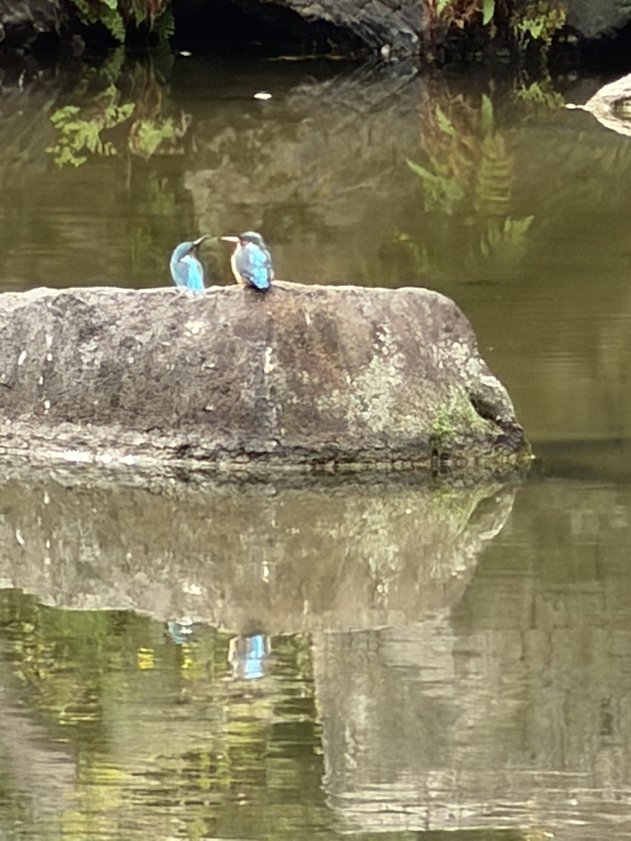 ichi 𐤉𐤂𐤇𐤉 tweet media