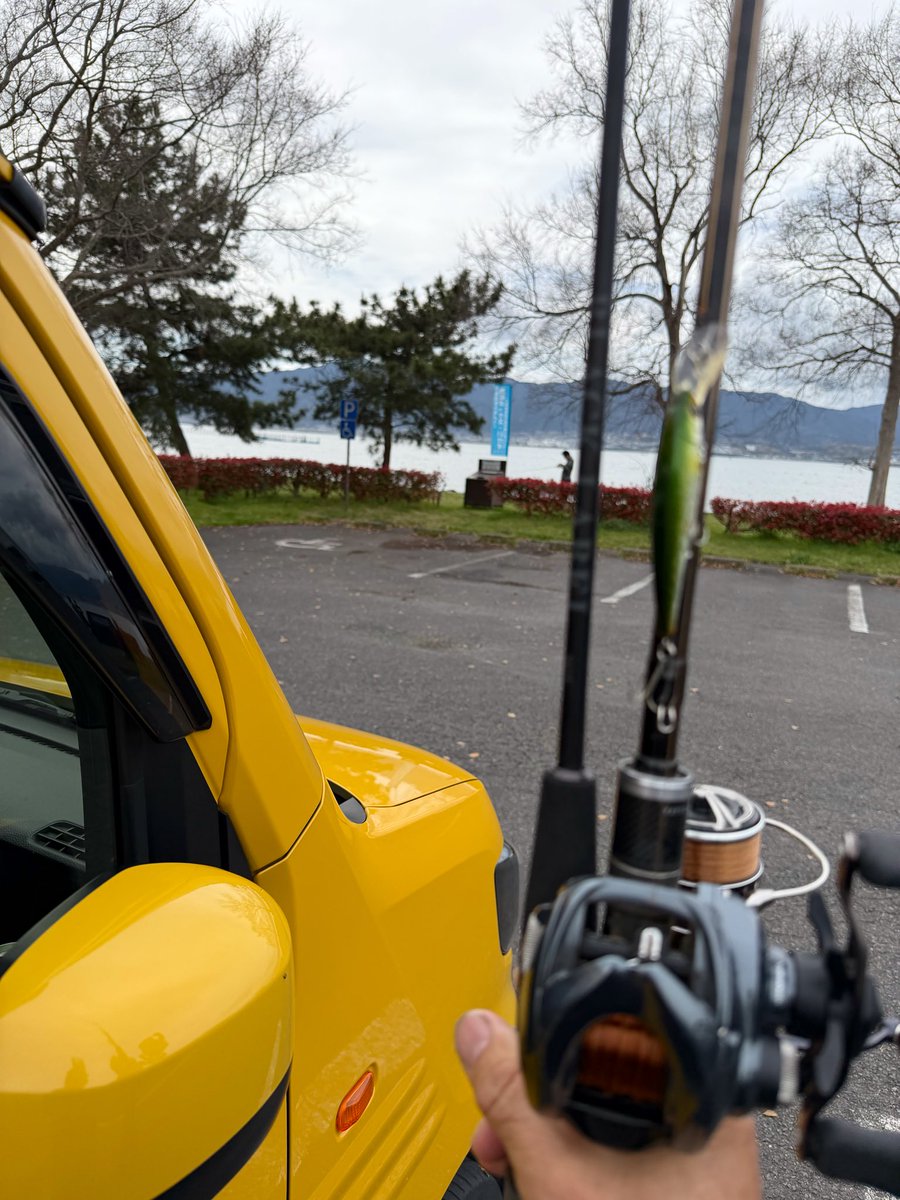 たけさんレイ🐶 tweet media