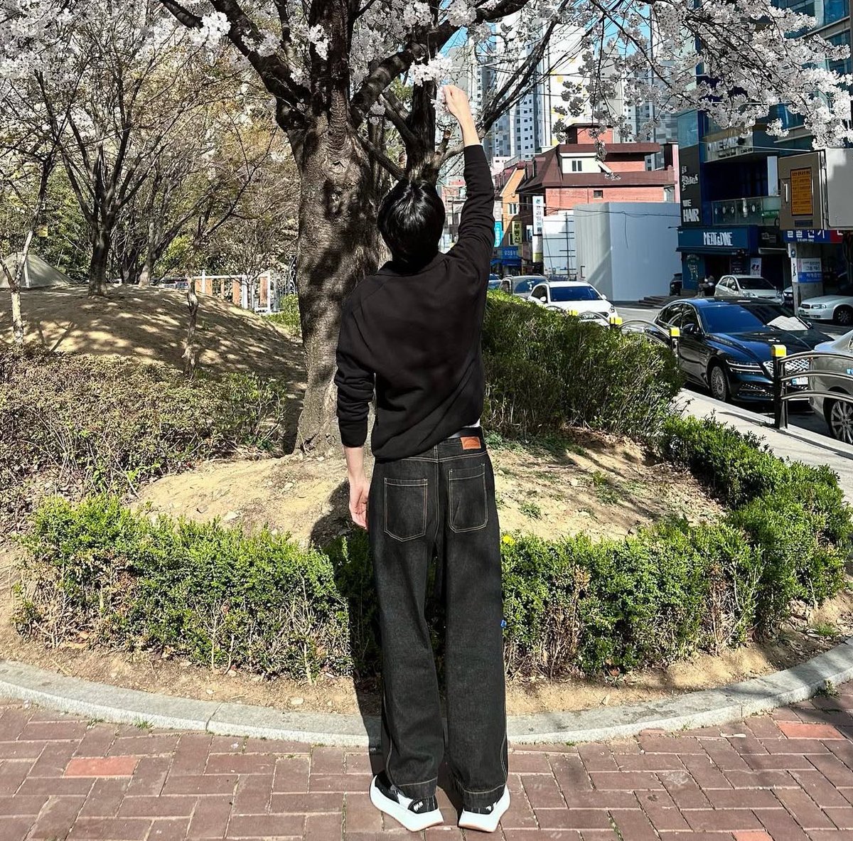 우체석 ◠‿◠ 👑💙 tweet media