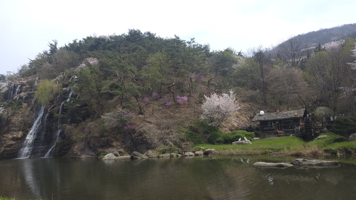 ꔌスΙ∞ tweet media