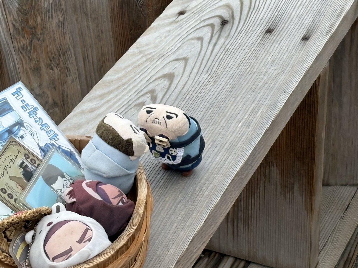 ｴｺﾋﾟｺ tweet media