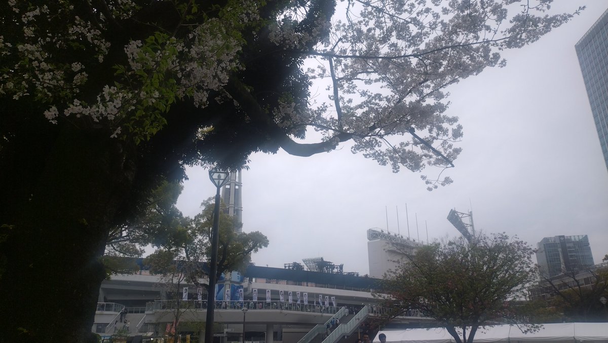 すこみ tweet media