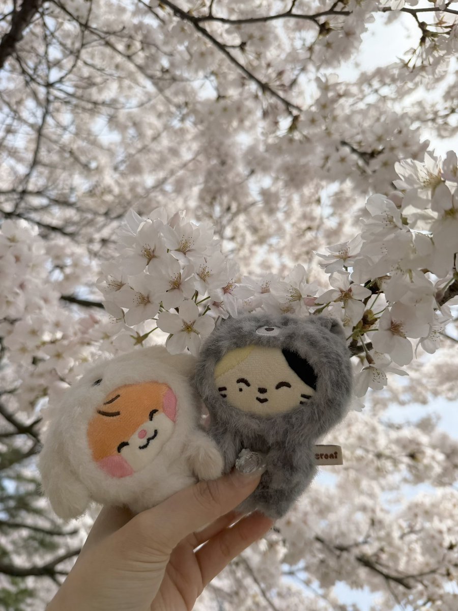 하나._.빈 tweet media