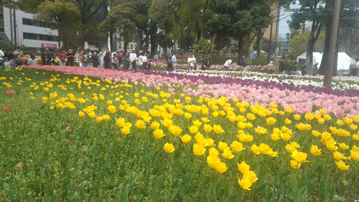 すこみ tweet media