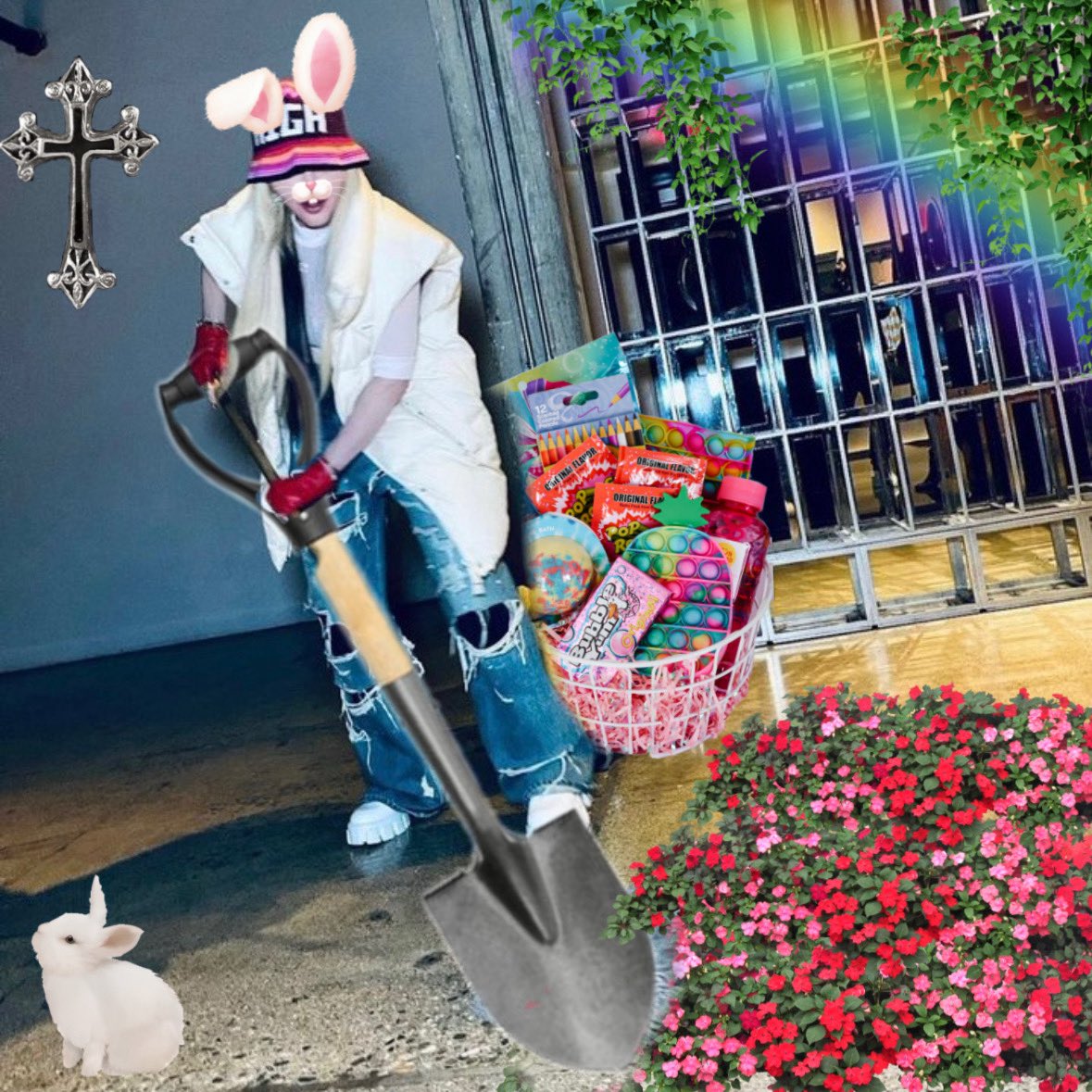 Jack Fernandez News And Updates tweet media