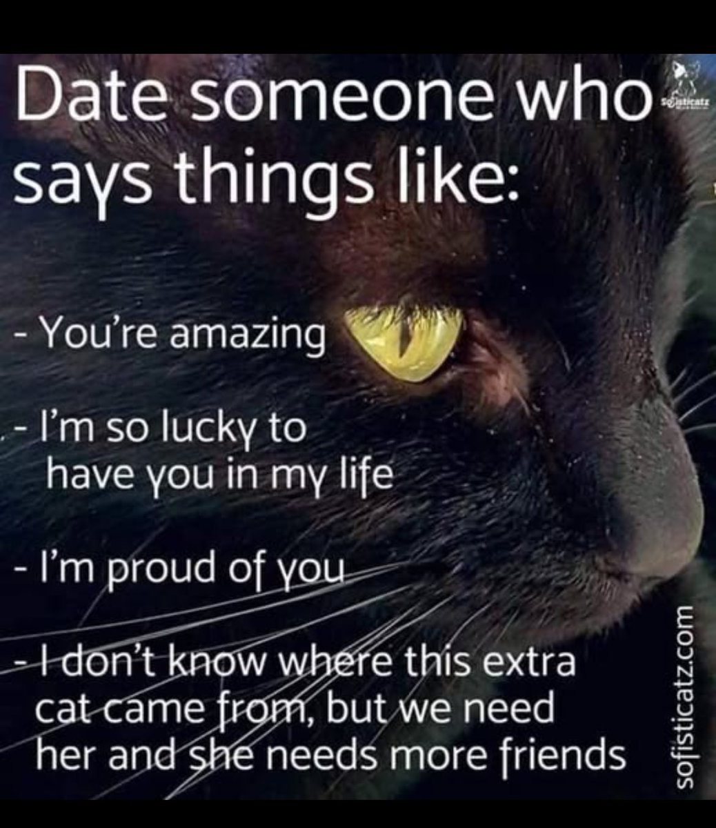 💕Wendy💖 tweet media