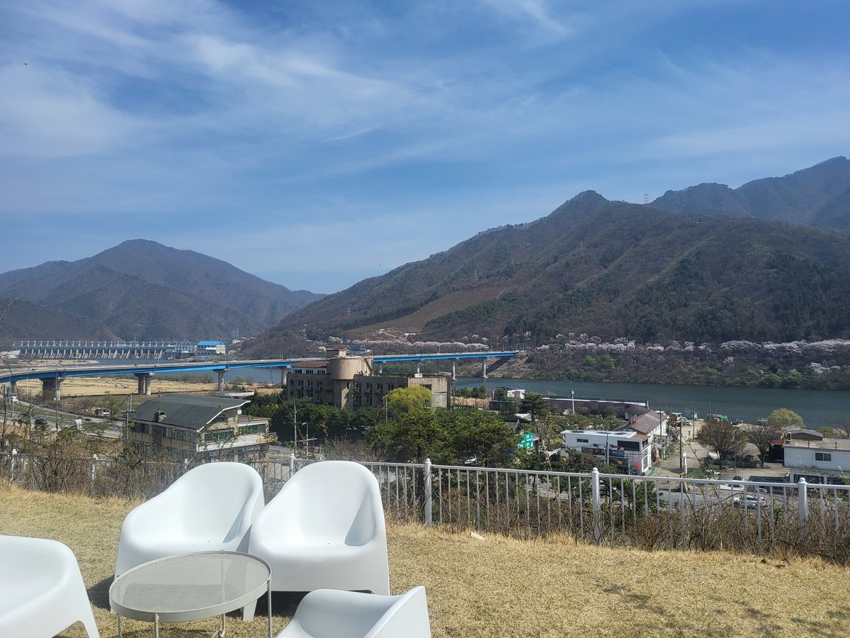 웃고살자 달고나🎗 tweet media