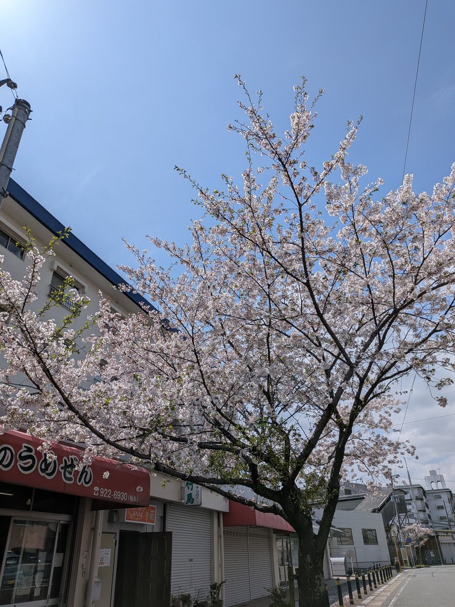 kankan⭐ tweet media