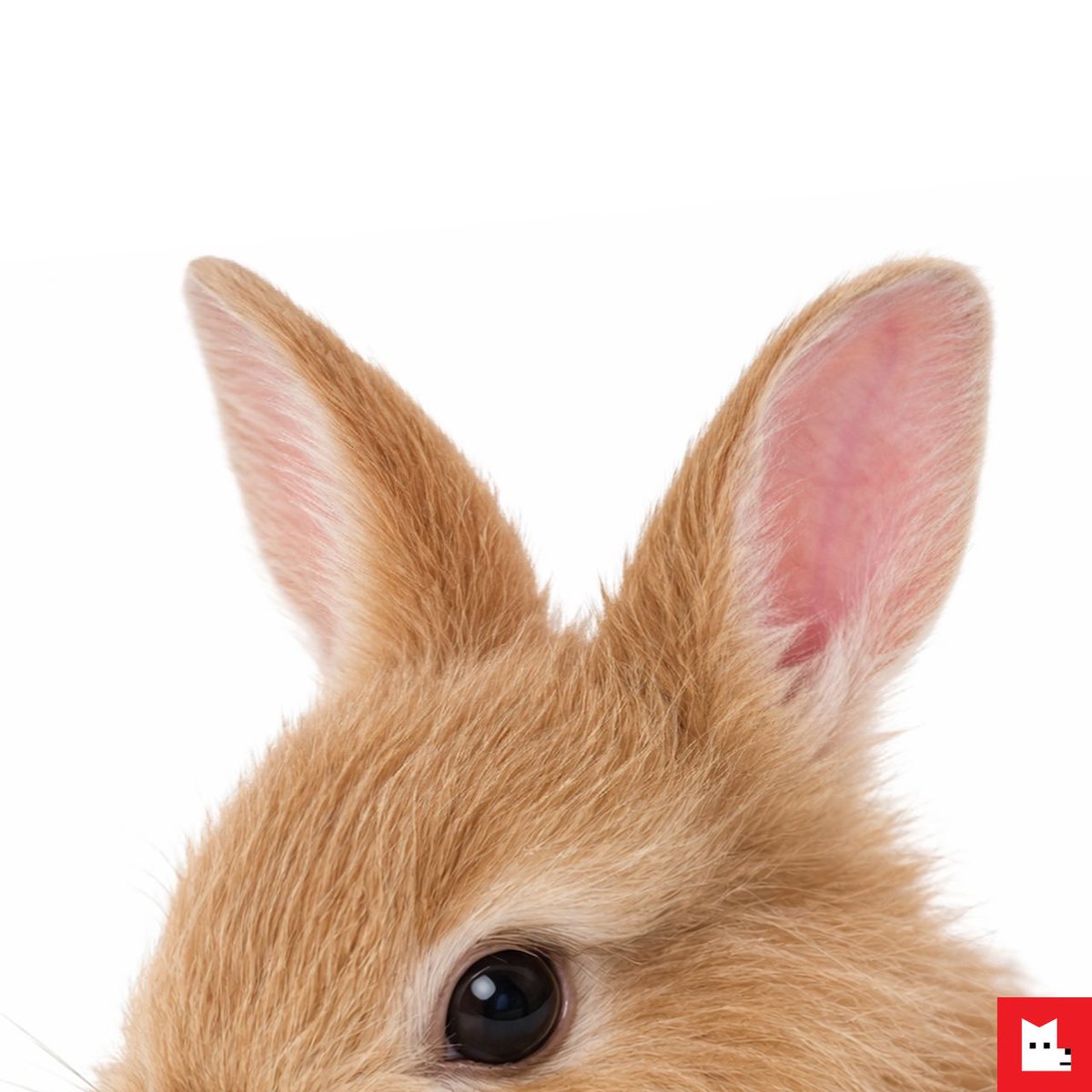 fra ᯥ dollshiki☄︎. ✦ is seeing bts tweet media