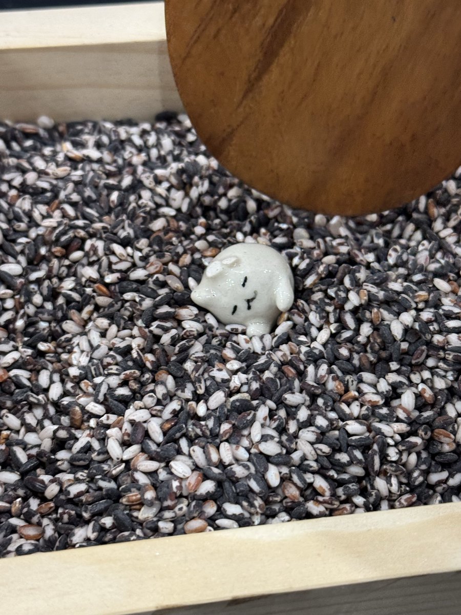 덕선이 tweet media