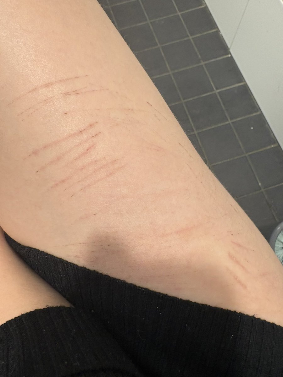 ʚ 𝓪𝓷𝓰𝓮𝓵 𝓶𝓾𝓯𝓯 ︴𝓼𝓱𝓮𝓭𝓽𝔀𝓽 ✟ tweet media